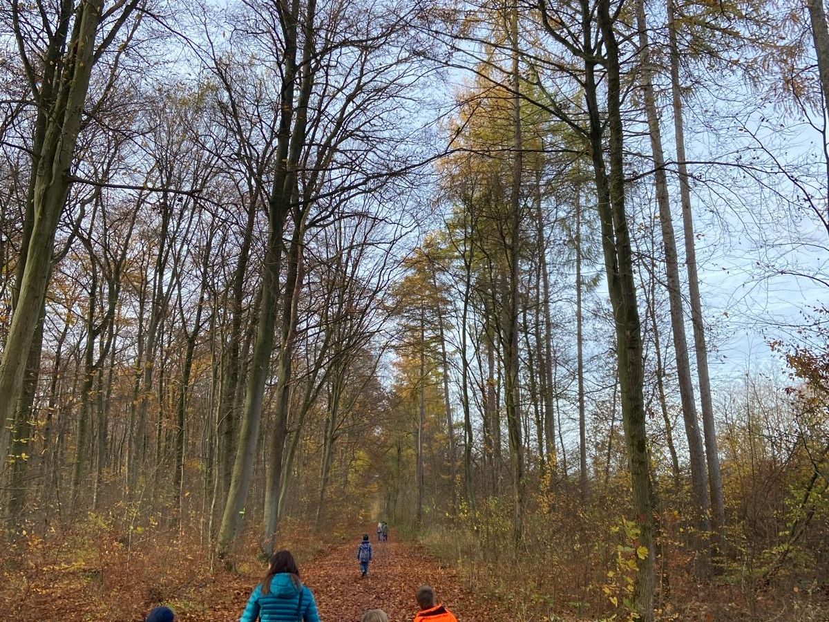 Sport im Wald